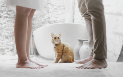 Misconceptions about Divorce You’ve Heard Before